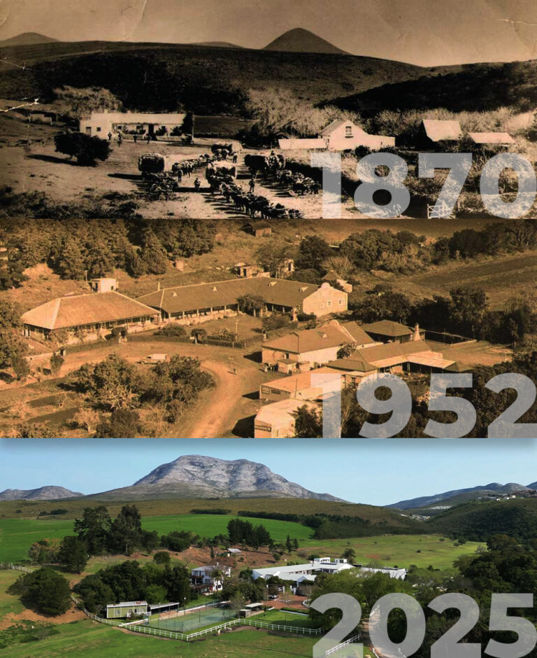 Assegaaibosch Country Lodge image 3