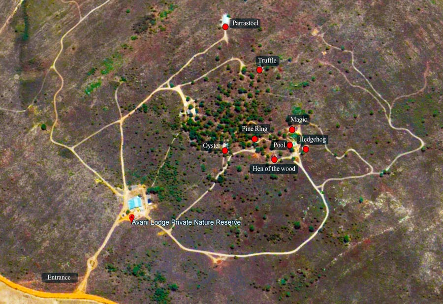 Avani Private Nature Reserve image 2