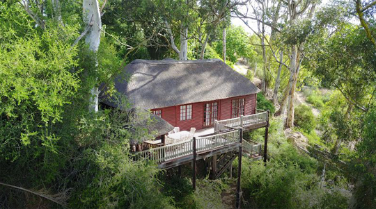 Avoca River Cabins