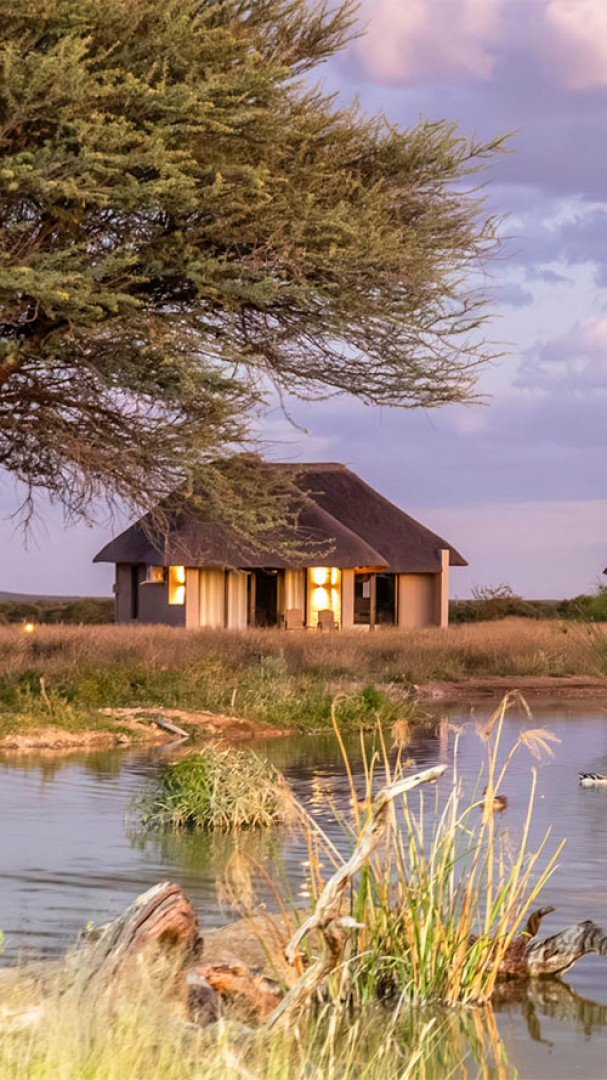 Avenir Safari Group