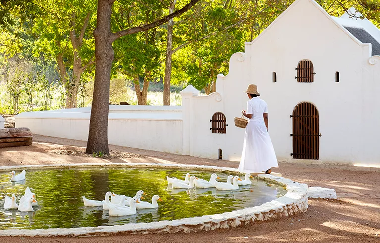 Babylonstoren image 4