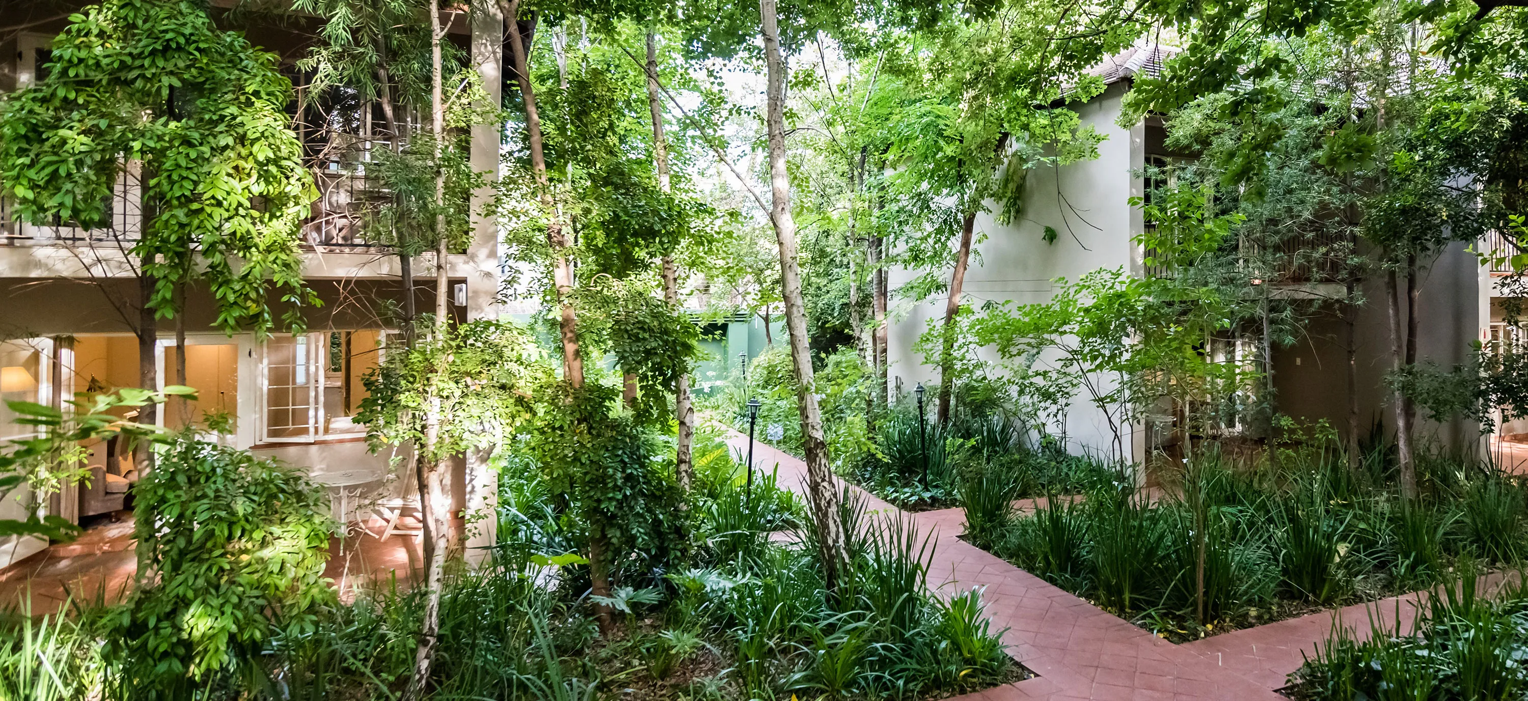 Courtyard with lush greenery trees and pathways between buildings