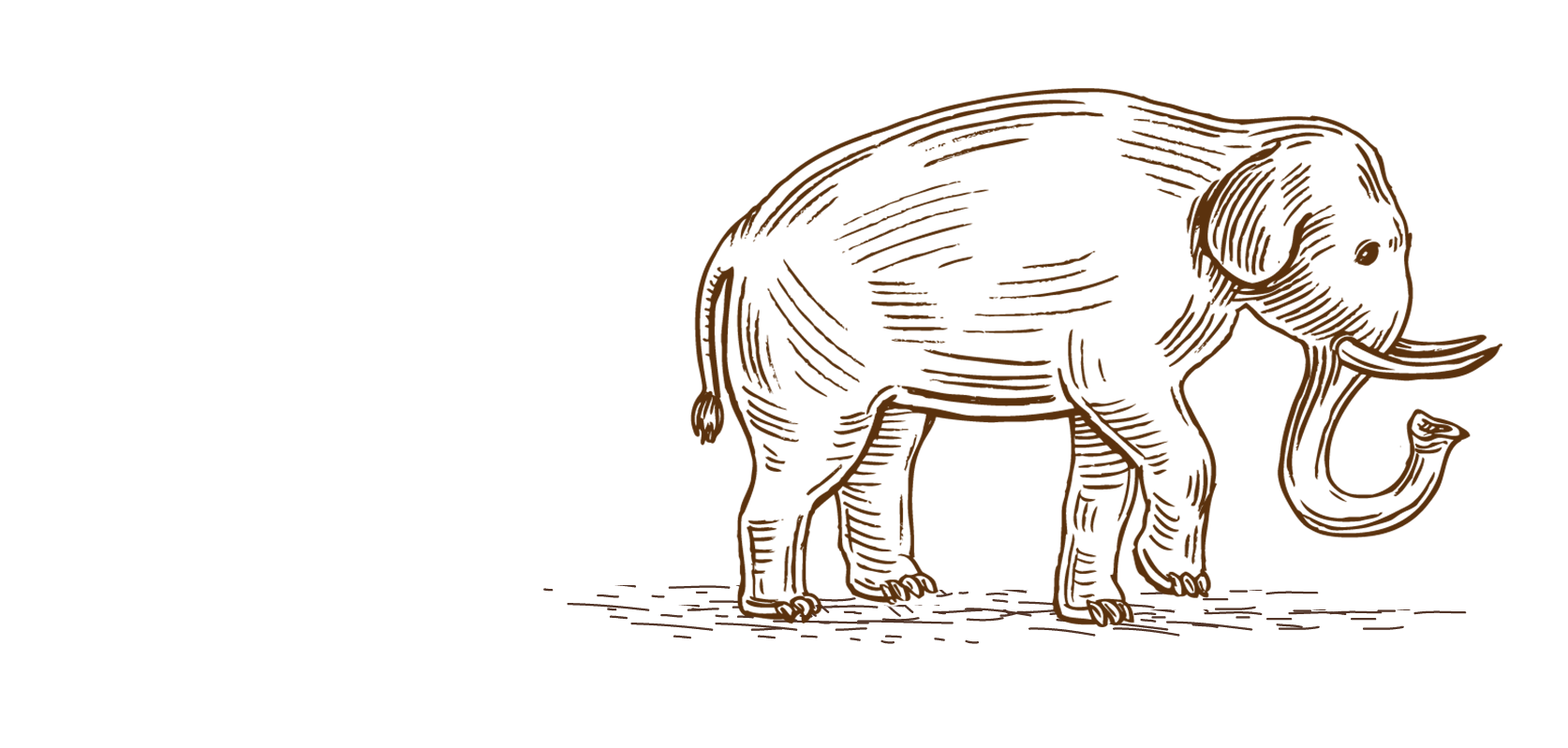 Balule Bushveld Safari Lodge