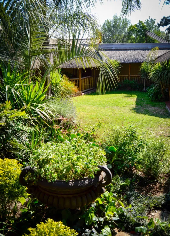 Lush garden with plants and a large house in the background