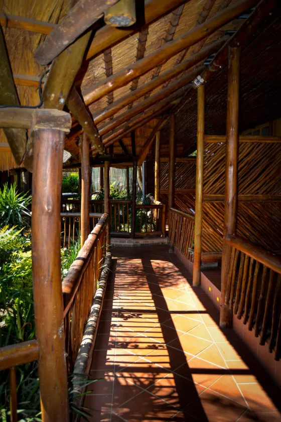 Wooden walkway with bamboo railings in a tropical setting with sunlight patterns