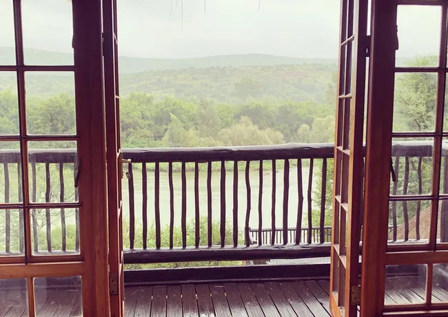 View of a forest from a wooden balcony with open doors