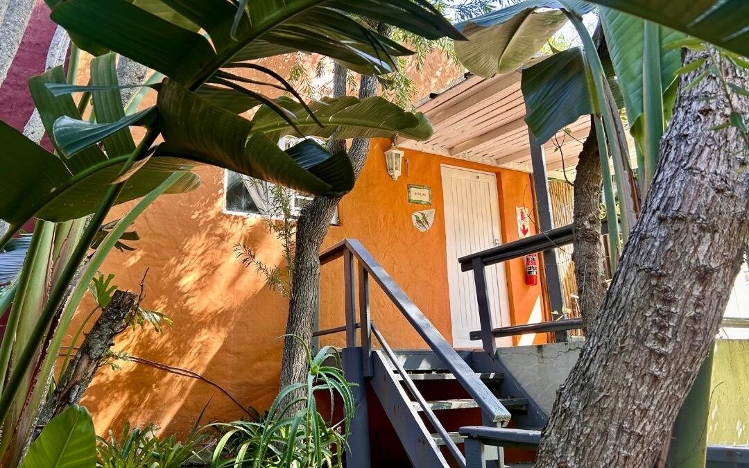 The Bamboo Lodge