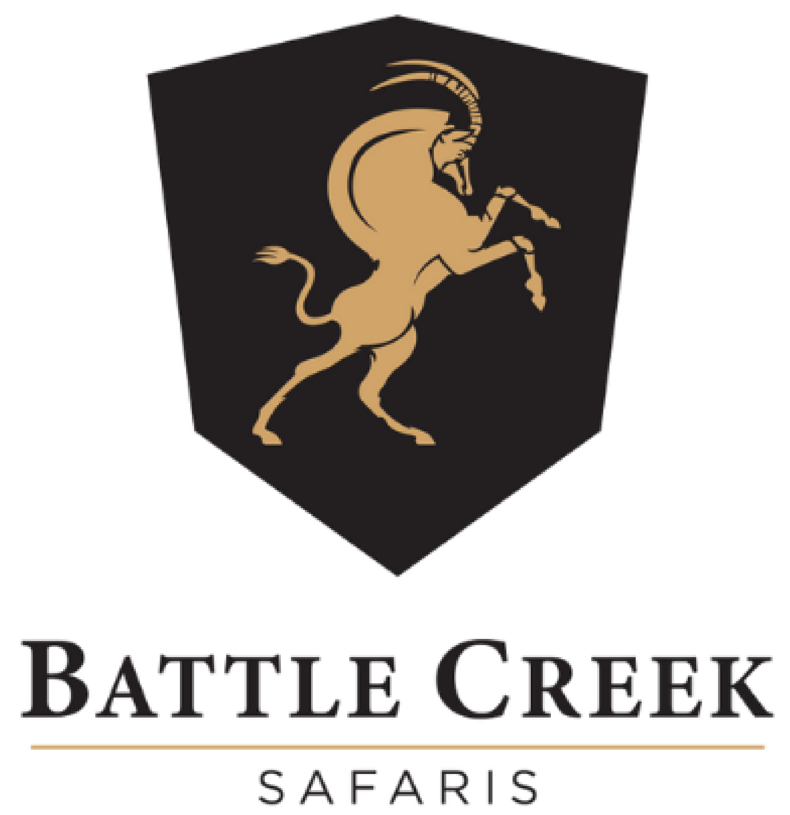 Battle Creek Safari