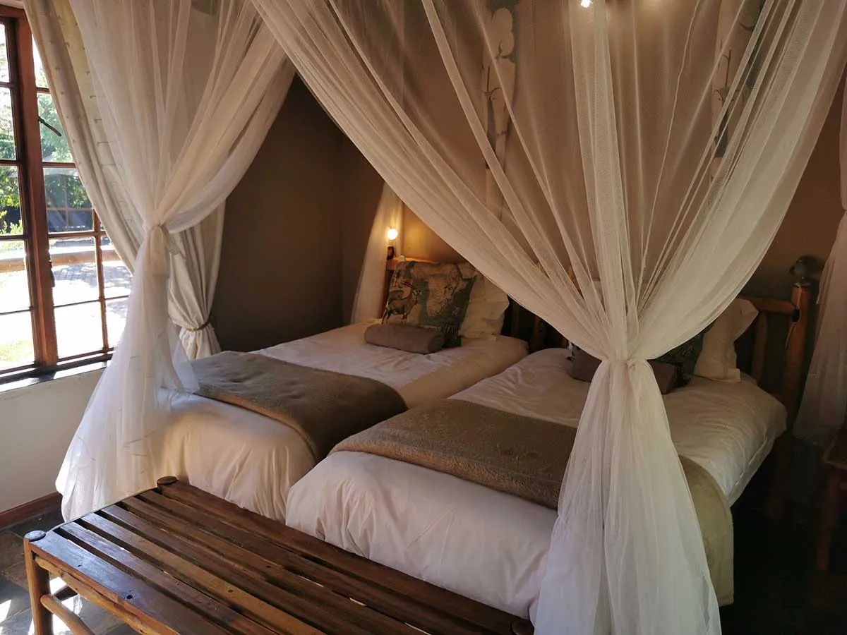 Two single beds with white mosquito nets in a cozy bedroom with wooden furniture