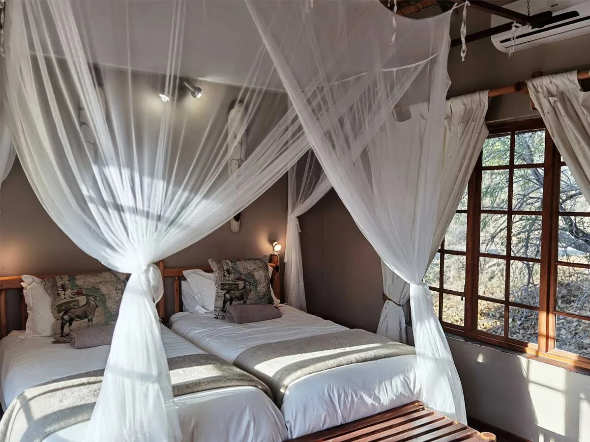 Two beds with white mosquito nets in a cozy welllit bedroom