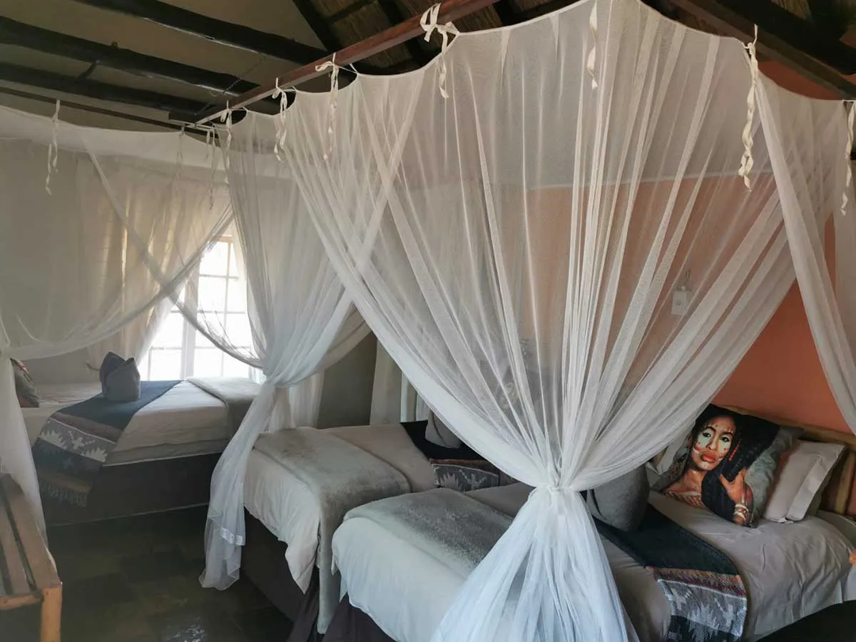 Three beds with white mosquito nets in a cozy welllit room