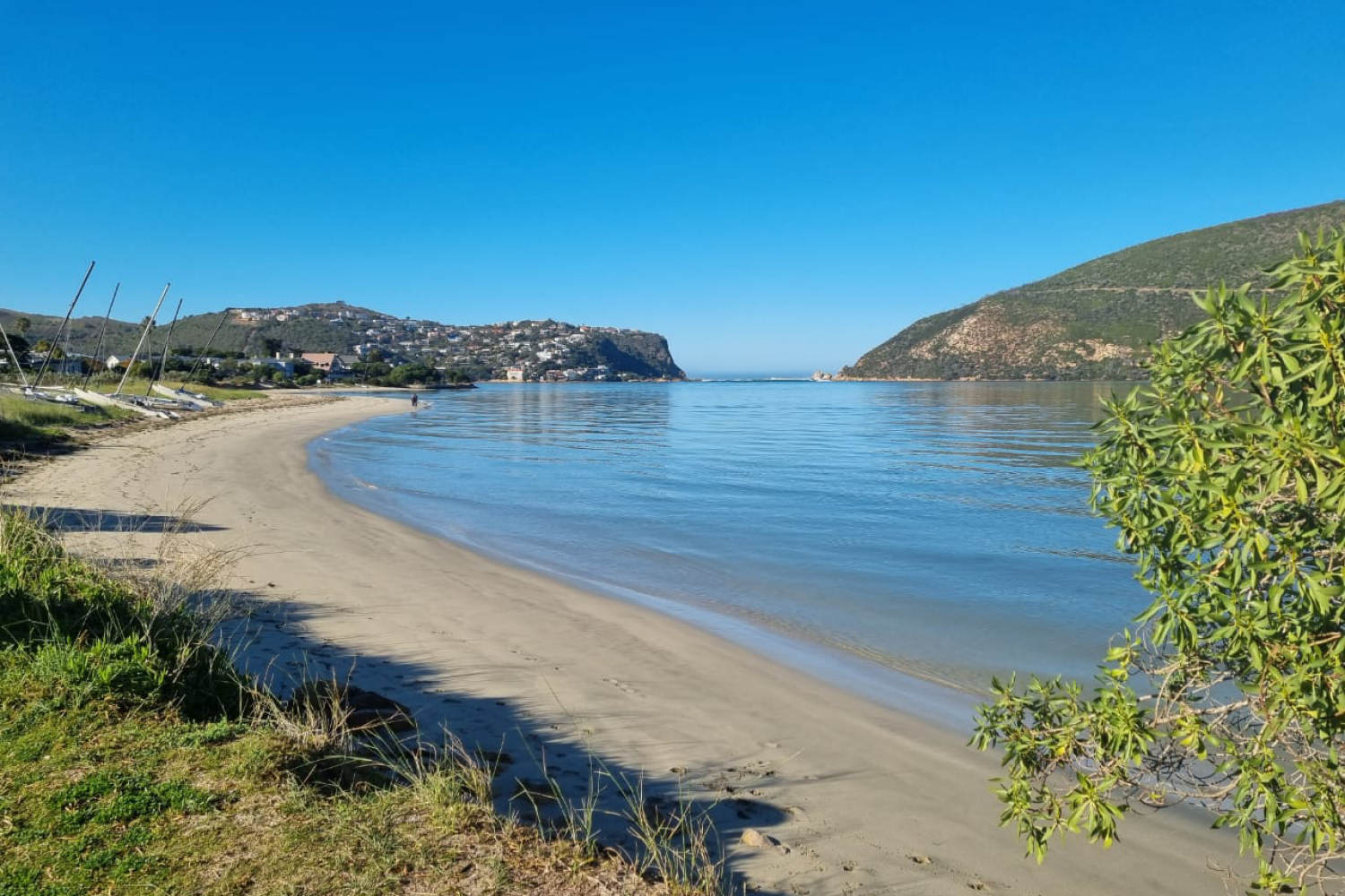 Knysna Belle