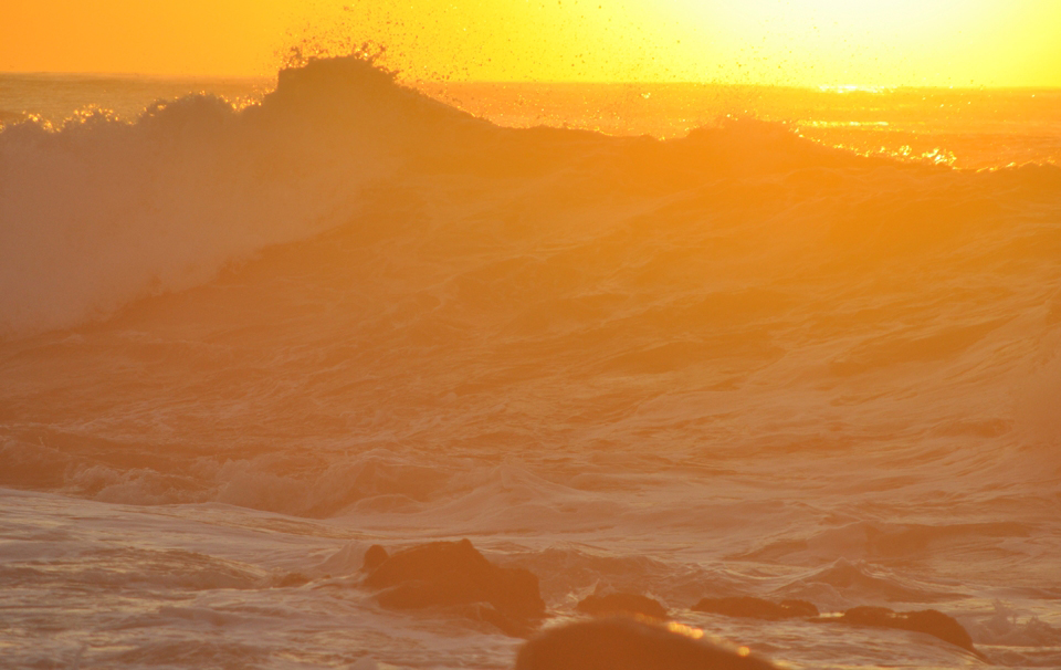 Sunshowers Ballito image 3