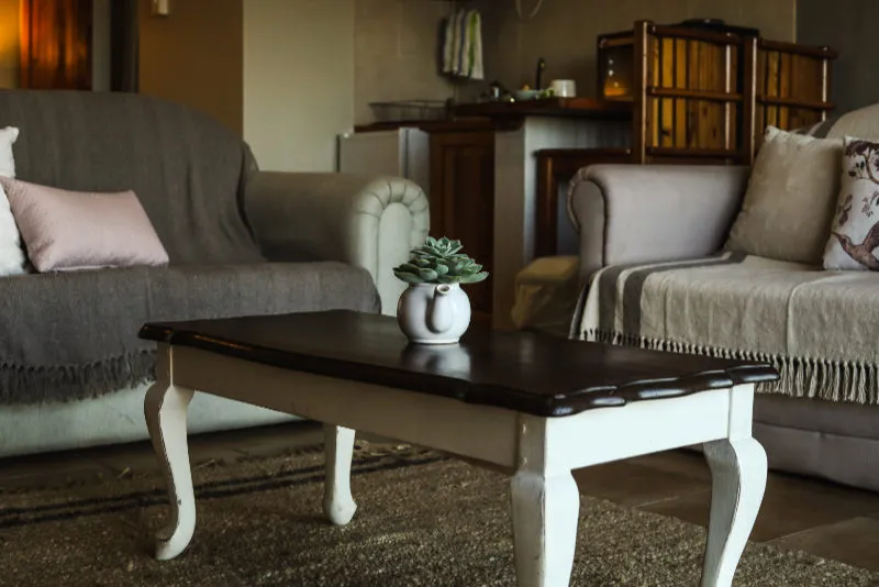 Living room with a coffee table sofas and a potted plant