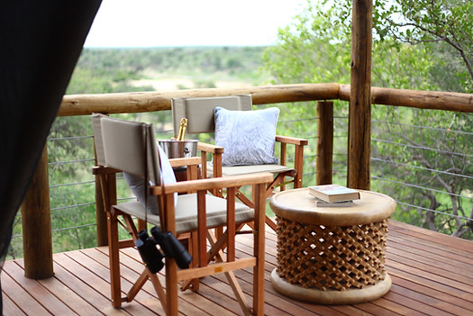 Ivory Wilderness image 5