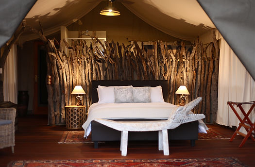 Ivory Wilderness image 3