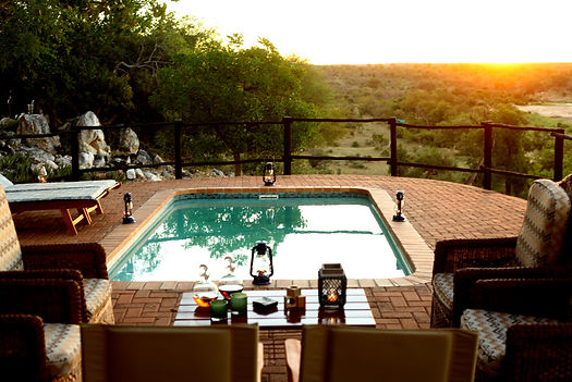 Ivory Wilderness image 4