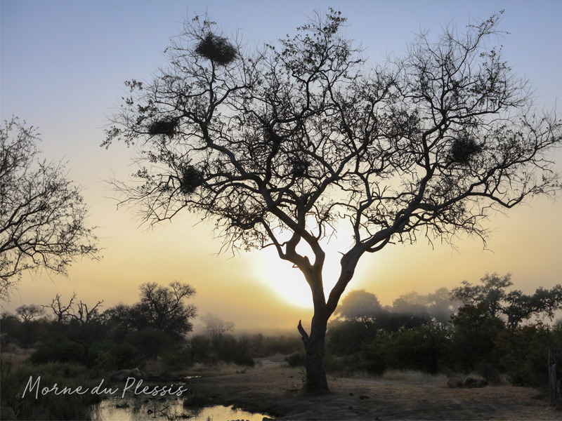 Kruger Adventure Lodge