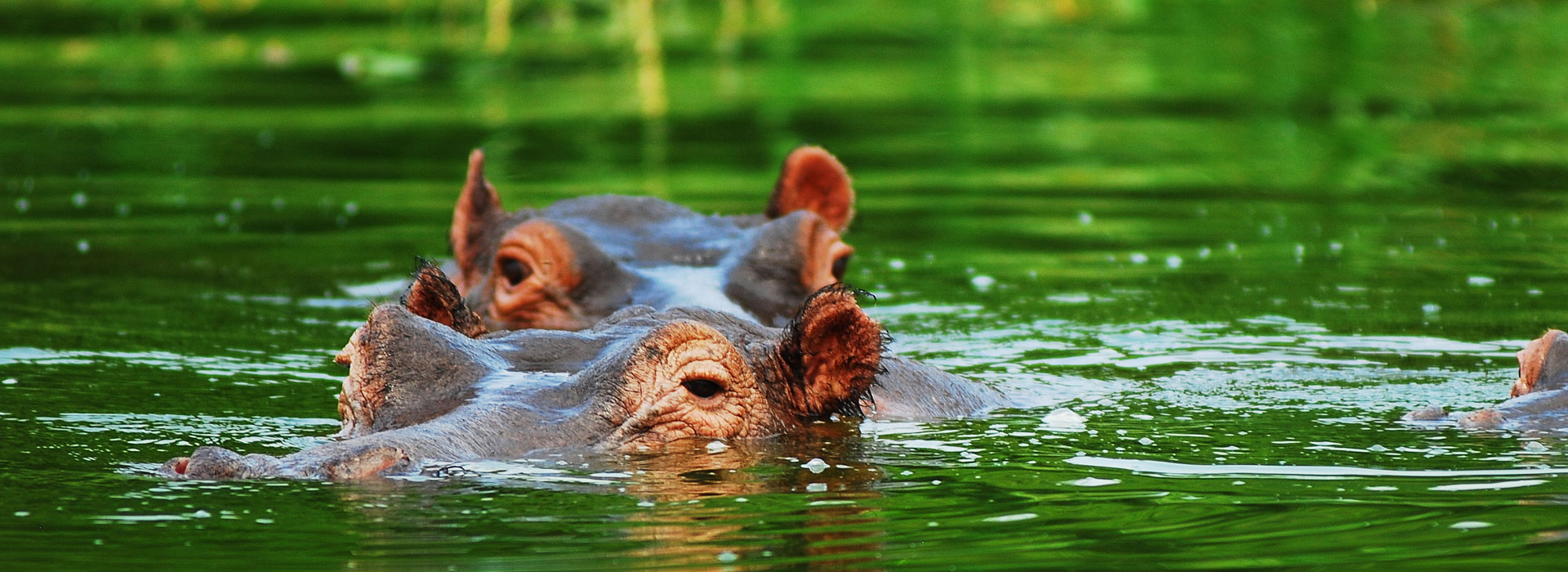 Blyde River Wilderness Lodge