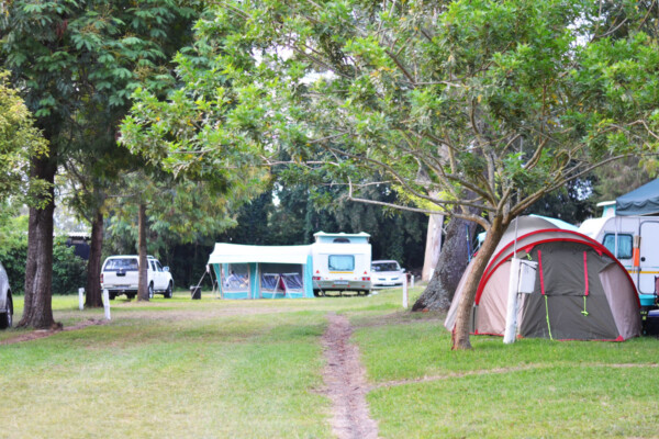 George Country Resort image 5