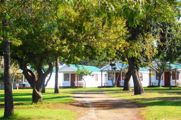 George Country Resort image 3