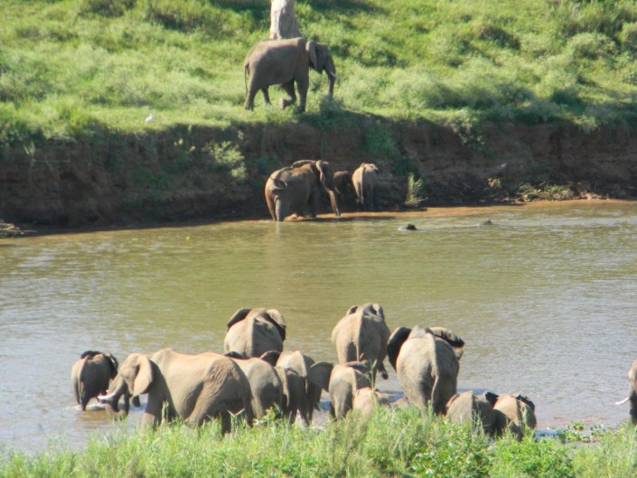 Kruger View Chalets