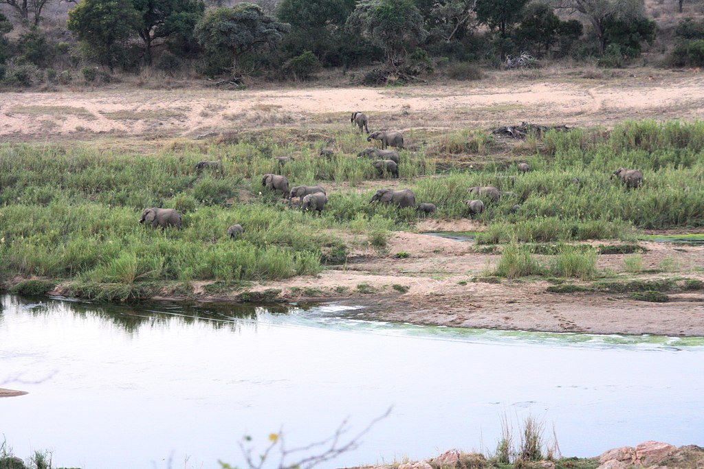 Marloth Kruger Bush Villa image 3