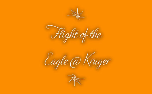 Flight of the Eagle @ Kruger