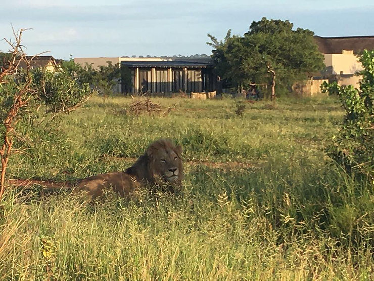 Kruger Sunset Lodge image 3