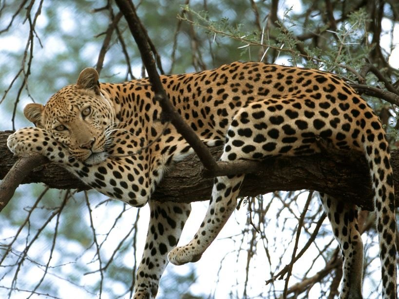 La Kruger Lifestyle Lodge
