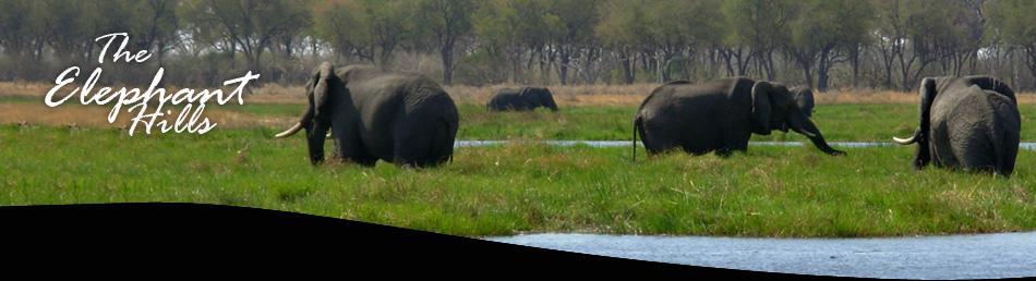Elephant Hills Richards Bay image 3