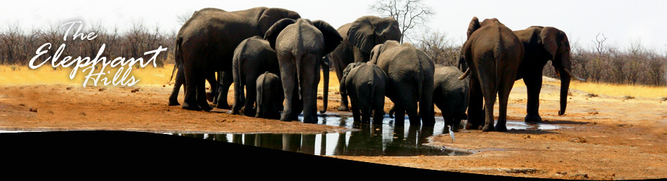 Elephant Hills Richards Bay
