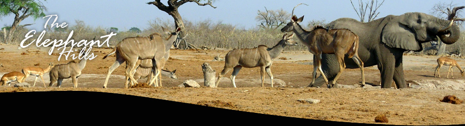 Elephant Hills Richards Bay image 5