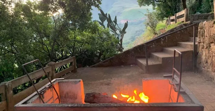 Outdoor fire pit with flames surrounded by greenery and stone steps