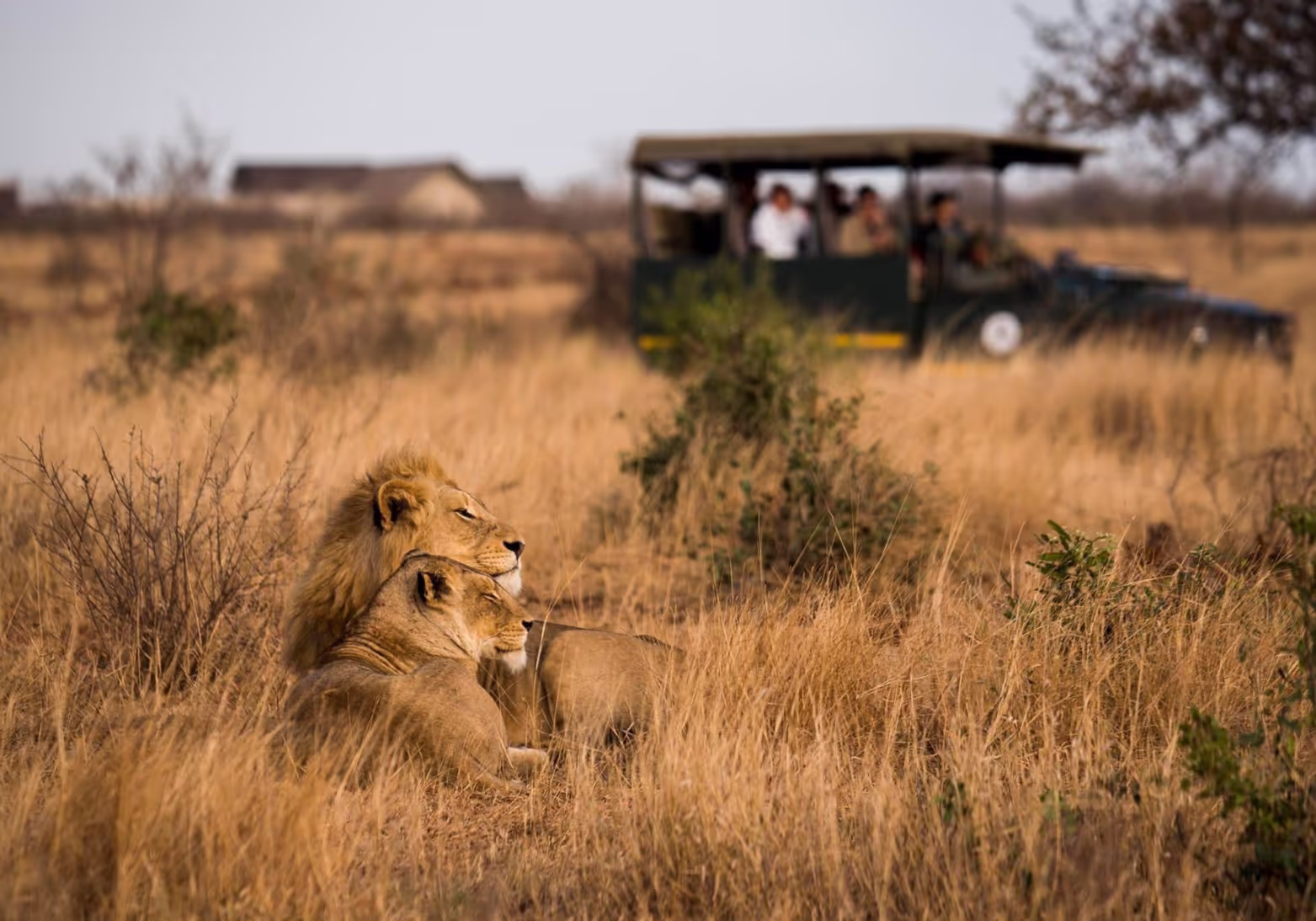 Mjejane Game Reserve
