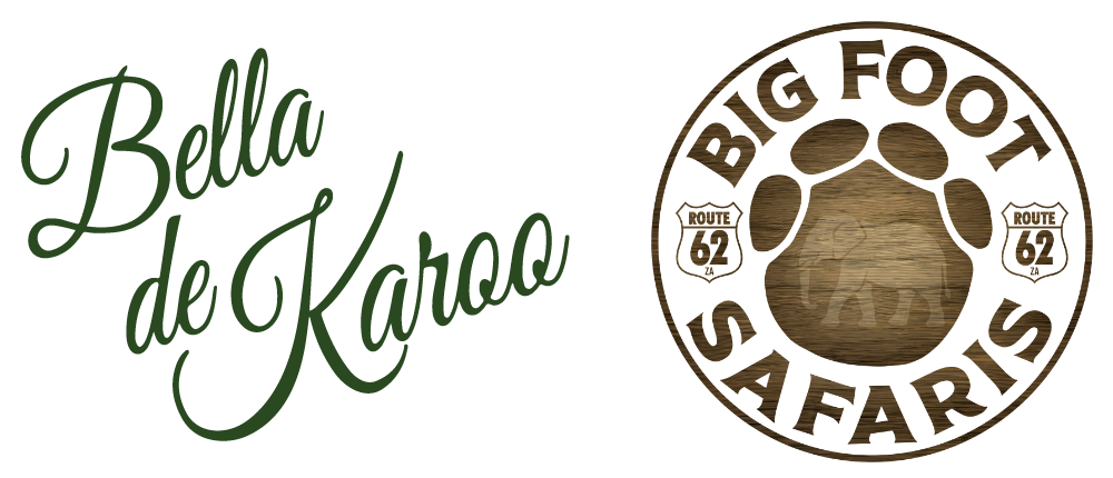 Bella de Karoo