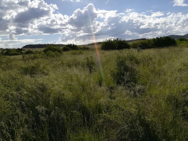 Karoo Ridge Conservancy