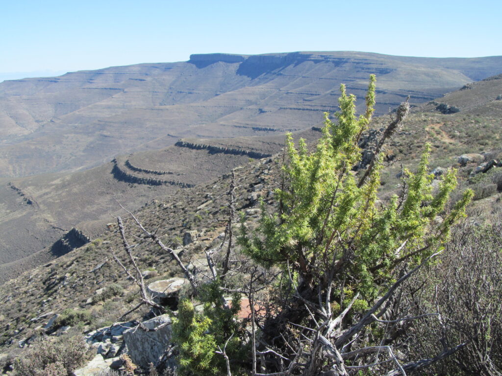 Karoo Rustigheid image 5