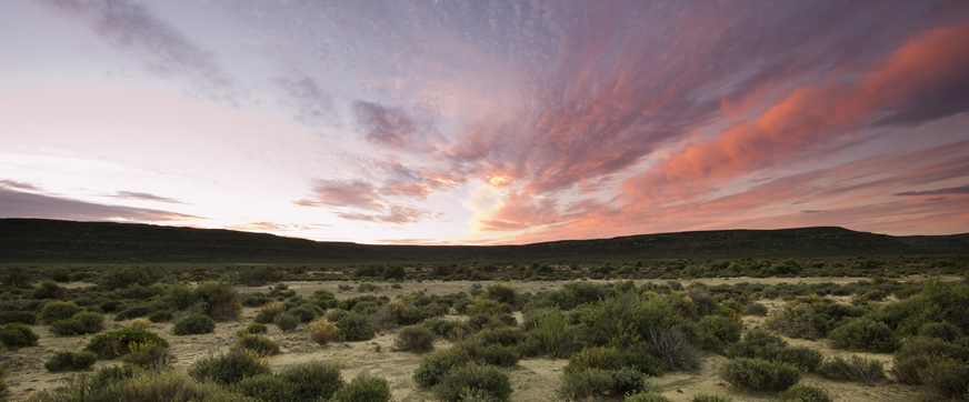 Kambrokind Guesthouse & Middelfontein Farm image 5