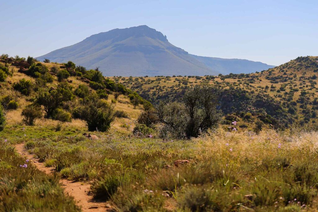 Wolvekloof Karoo