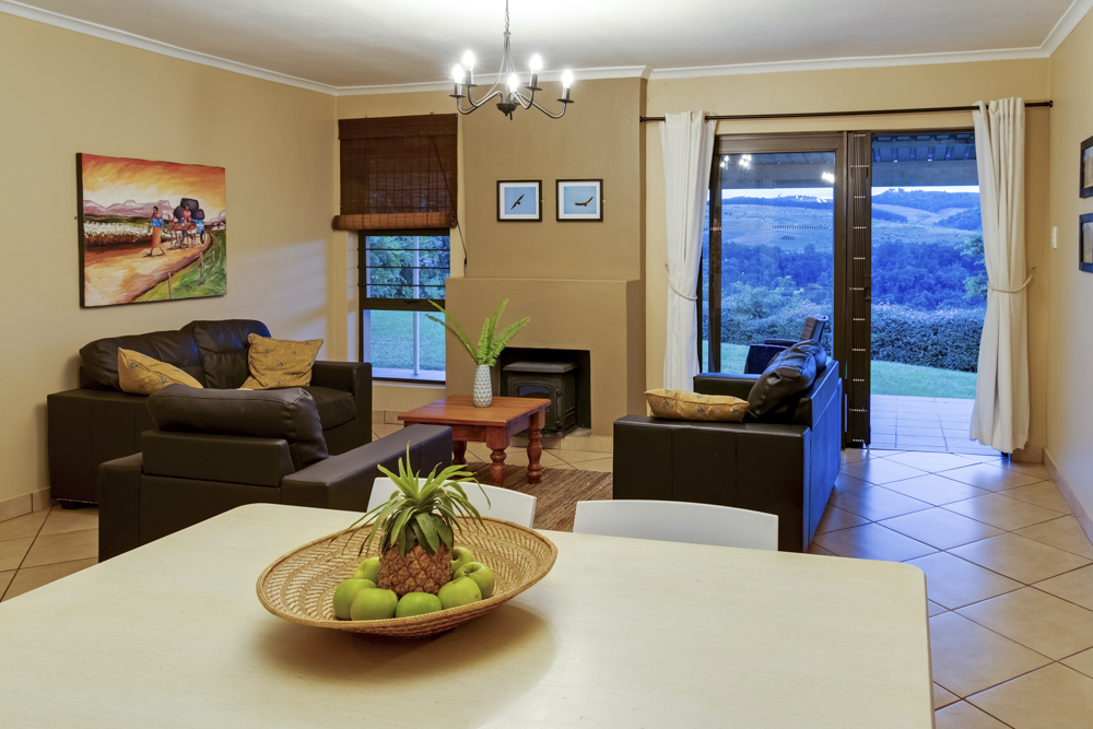 Drakensberg Vultures View