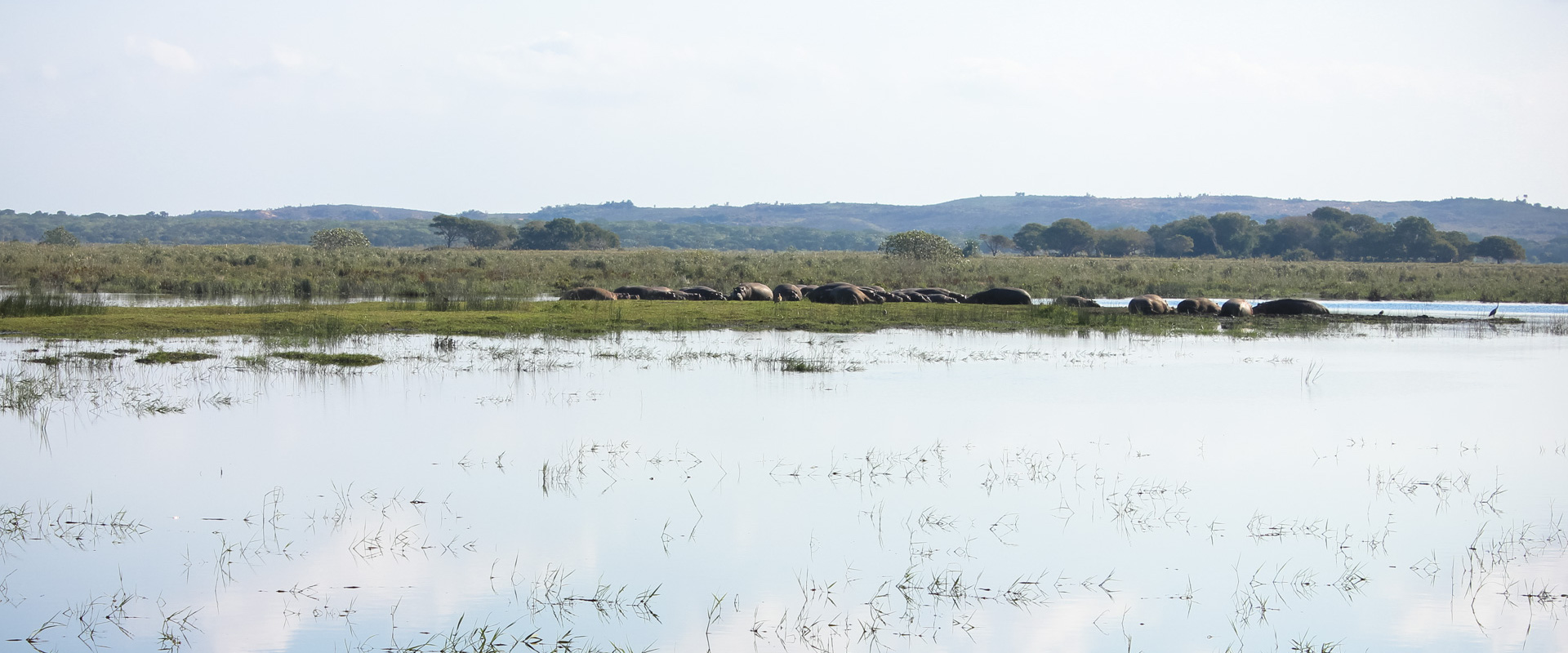 Ndiza Lodge & Cabanas