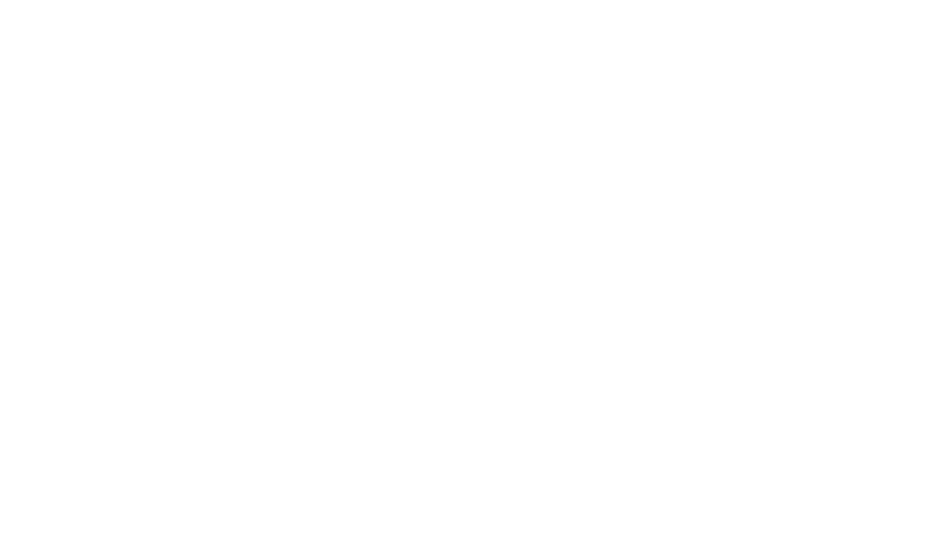 The Tin Roof image 4