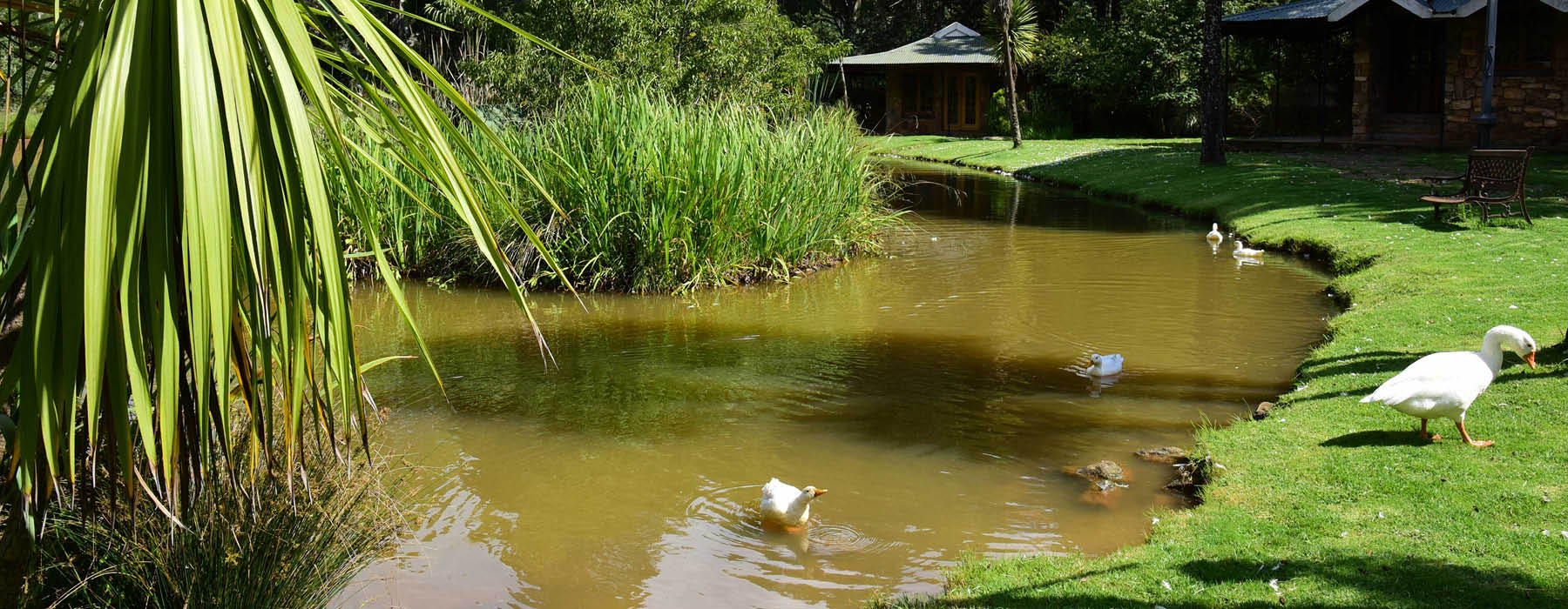 Dullstroom Country Cottages