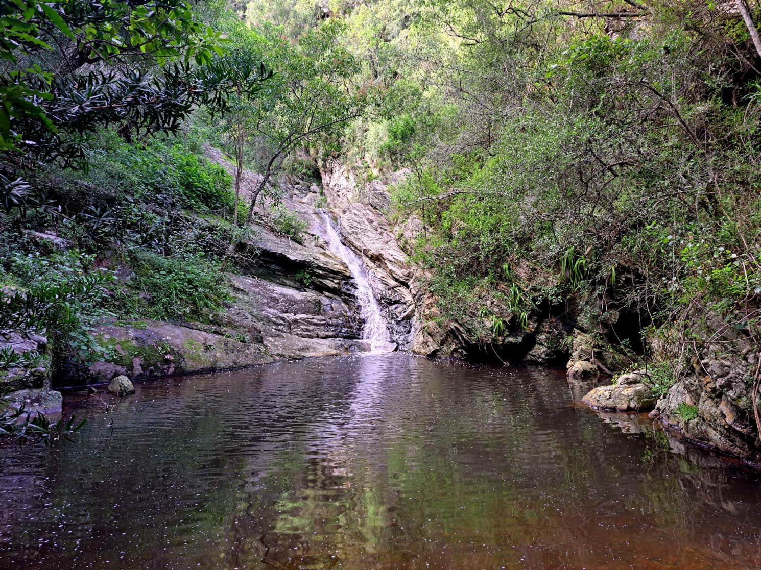 Bergrivier Eco Retreat image 4