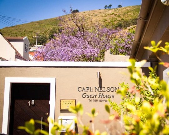 Cape Nelson Guesthouse image 4