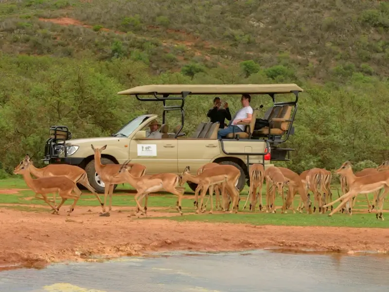 Indalu Game Reserve