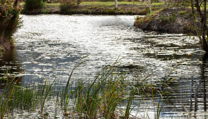 Hemel en Aarde Cottages