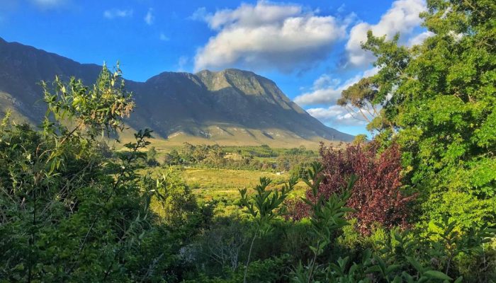 Hemel en Aarde Cottages image 4