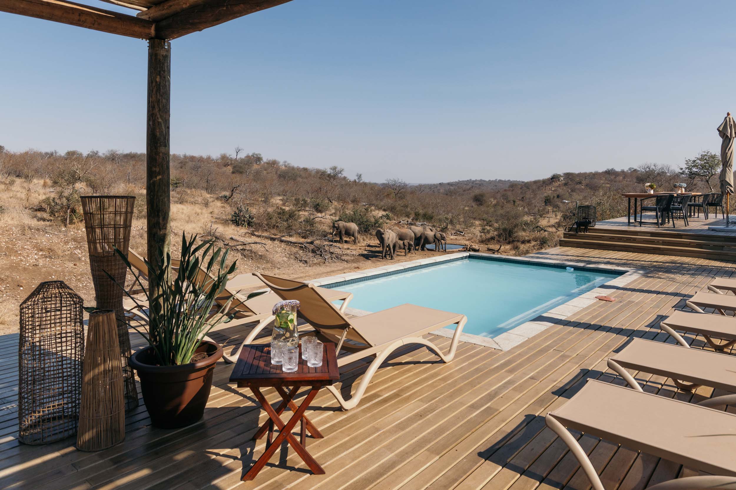 Isambane Camp